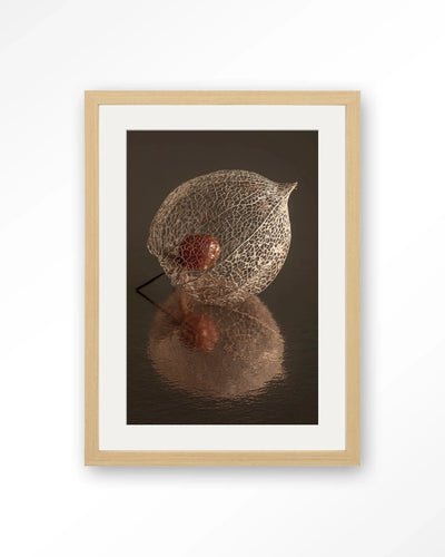 De Reflectie Van Vergankelijkheid In Bruintinten - Moderne Wanddecoratie | Artprint, Glass Art, Wandkleed by Urban Cotton