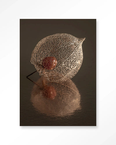 De Reflectie Van Vergankelijkheid In Bruintinten - Moderne Wanddecoratie | Artprint, Glass Art, Wandkleed by Urban Cotton