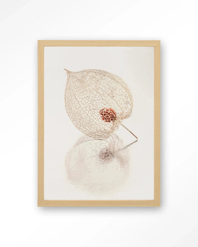 De Reflectie Van Vergankelijkheid In Lichte Tinten - Moderne Wanddecoratie | Artprint, Glass Art, Wandkleed by Urban Cotton