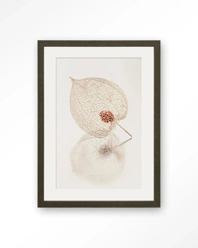 De Reflectie Van Vergankelijkheid In Lichte Tinten - Moderne Wanddecoratie | Artprint, Glass Art, Wandkleed by Urban Cotton