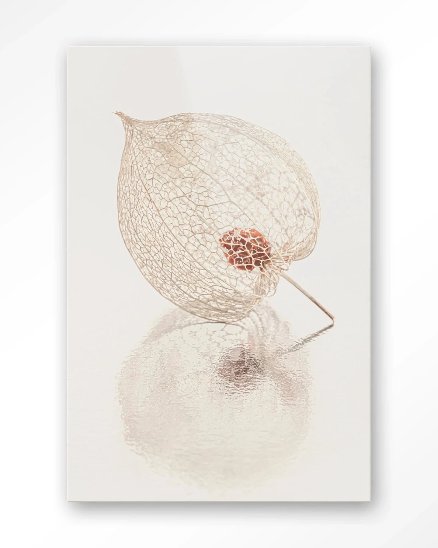 De Reflectie Van Vergankelijkheid In Lichte Tinten - Moderne Wanddecoratie | Artprint, Glass Art, Wandkleed by Urban Cotton