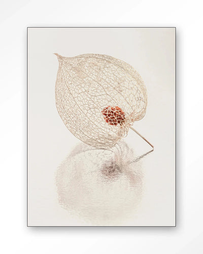 De Reflectie Van Vergankelijkheid In Lichte Tinten - Moderne Wanddecoratie | Artprint, Glass Art, Wandkleed by Urban Cotton