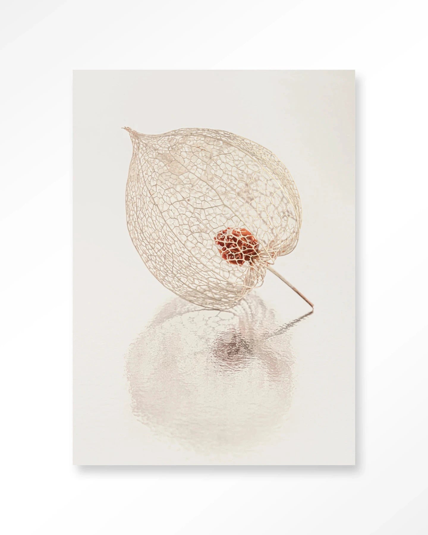 De Reflectie Van Vergankelijkheid In Lichte Tinten - Moderne Wanddecoratie | Artprint, Glass Art, Wandkleed by Urban Cotton