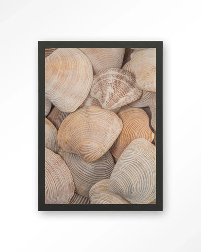 Tijdloze Rust: In Een Zee Van Schelpen - Moderne Wanddecoratie | Artprint, Glass Art, Wandkleed by Urban Cotton