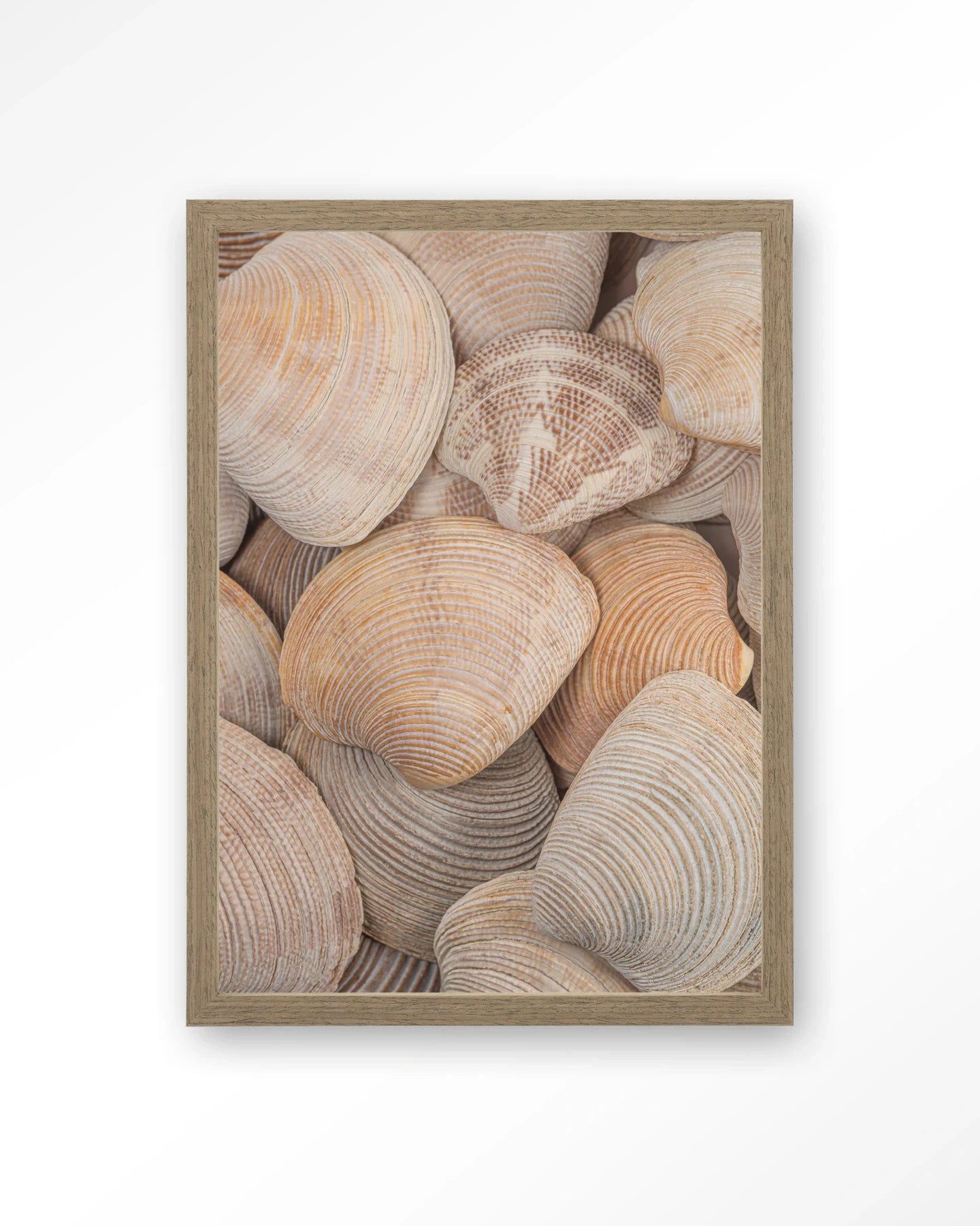 Tijdloze Rust: In Een Zee Van Schelpen - Moderne Wanddecoratie | Artprint, Glass Art, Wandkleed by Urban Cotton