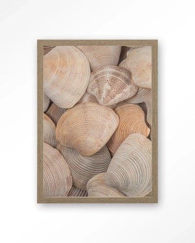 Tijdloze Rust: In Een Zee Van Schelpen - Moderne Wanddecoratie | Artprint, Glass Art, Wandkleed by Urban Cotton