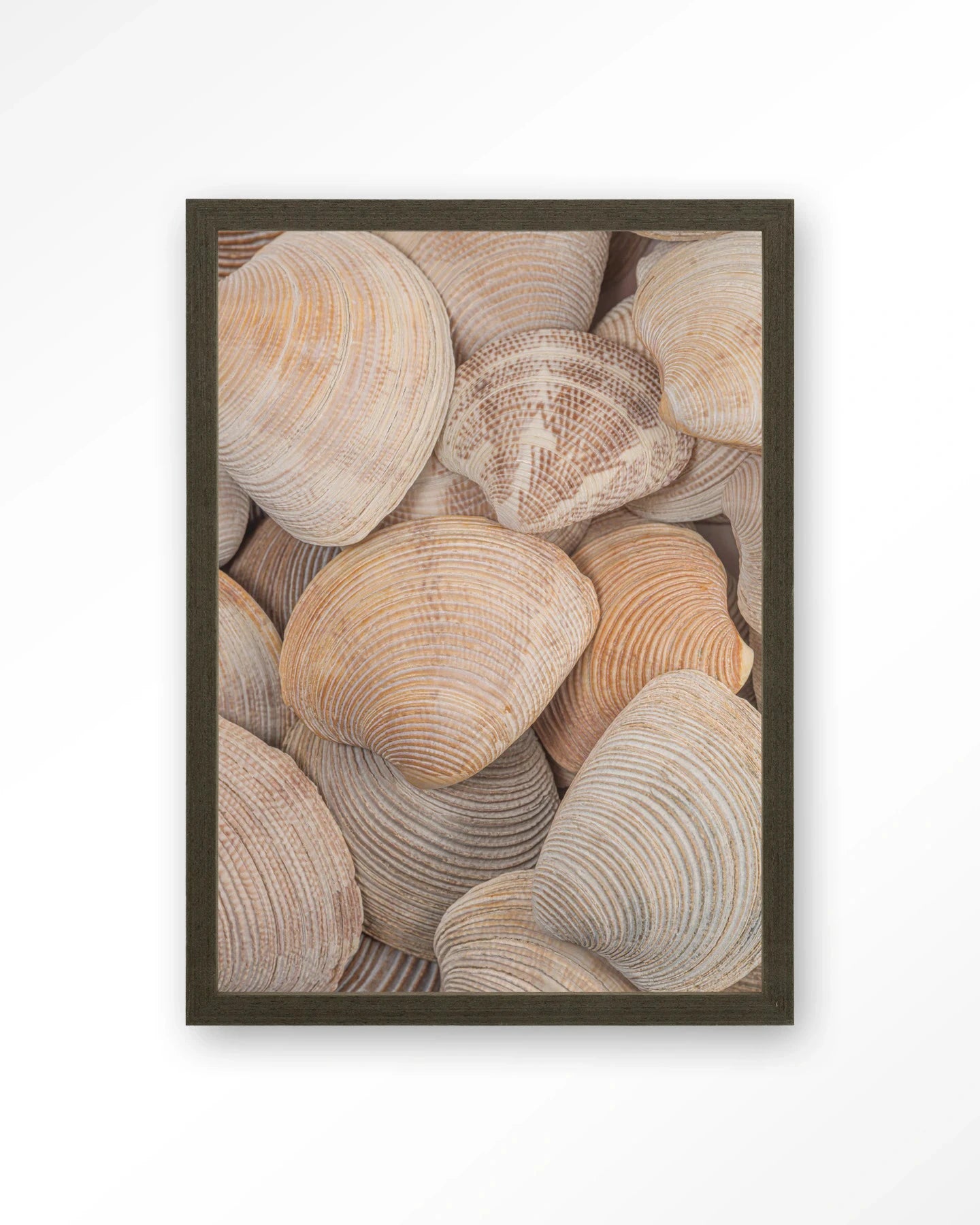 Tijdloze Rust: In Een Zee Van Schelpen - Moderne Wanddecoratie | Artprint, Glass Art, Wandkleed by Urban Cotton