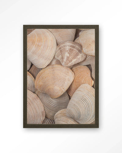 Tijdloze Rust: In Een Zee Van Schelpen - Moderne Wanddecoratie | Artprint, Glass Art, Wandkleed by Urban Cotton
