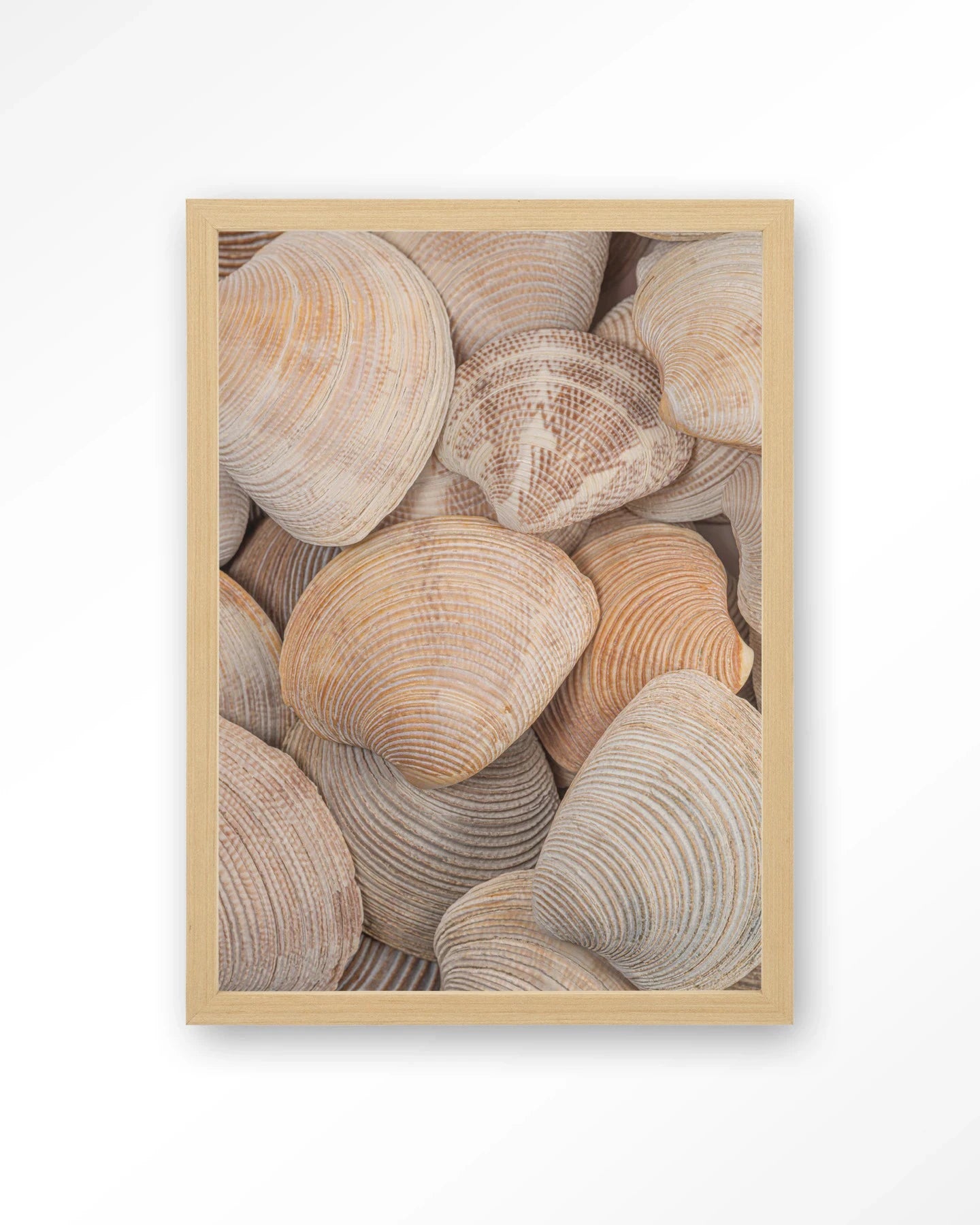 Tijdloze Rust: In Een Zee Van Schelpen - Moderne Wanddecoratie | Artprint, Glass Art, Wandkleed by Urban Cotton