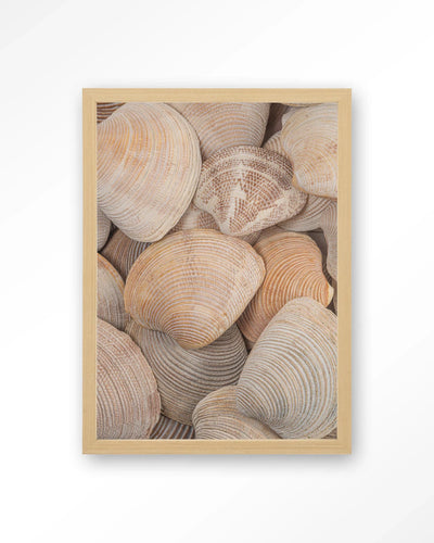 Tijdloze Rust: In Een Zee Van Schelpen - Moderne Wanddecoratie | Artprint, Glass Art, Wandkleed by Urban Cotton