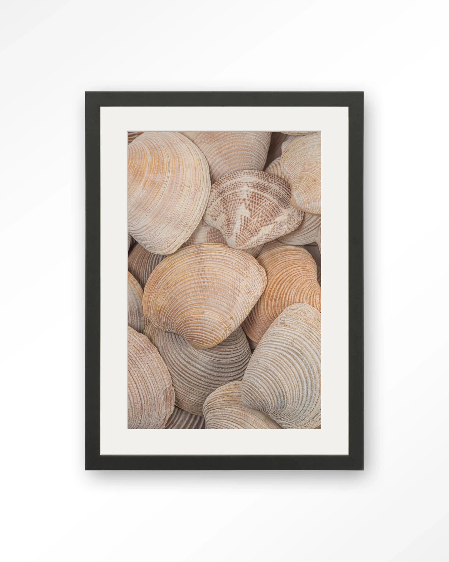 Tijdloze Rust: In Een Zee Van Schelpen - Moderne Wanddecoratie | Artprint, Glass Art, Wandkleed by Urban Cotton