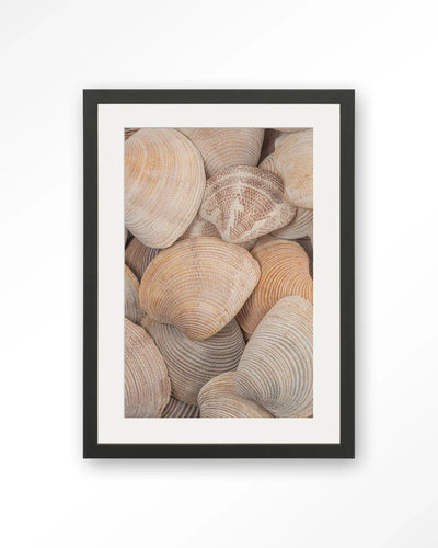 Tijdloze Rust: In Een Zee Van Schelpen - Moderne Wanddecoratie | Artprint, Glass Art, Wandkleed by Urban Cotton