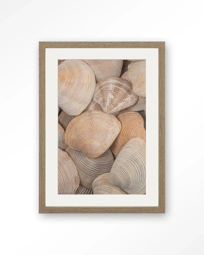 Tijdloze Rust: In Een Zee Van Schelpen - Moderne Wanddecoratie | Artprint, Glass Art, Wandkleed by Urban Cotton