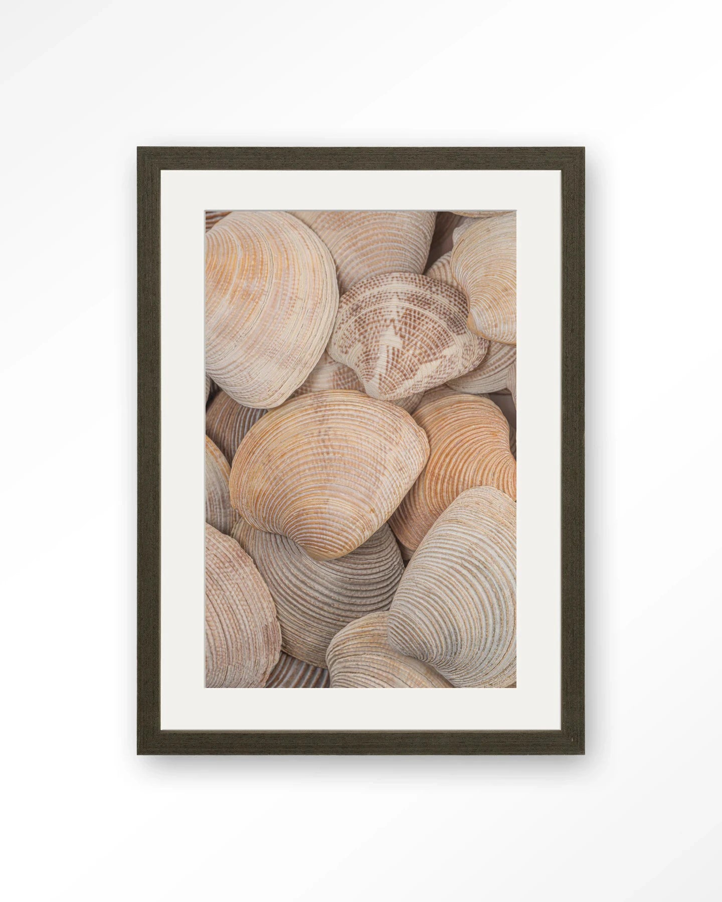 Tijdloze Rust: In Een Zee Van Schelpen - Moderne Wanddecoratie | Artprint, Glass Art, Wandkleed by Urban Cotton
