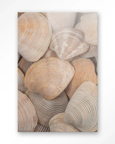 Tijdloze Rust: In Een Zee Van Schelpen - Moderne Wanddecoratie | Artprint, Glass Art, Wandkleed by Urban Cotton