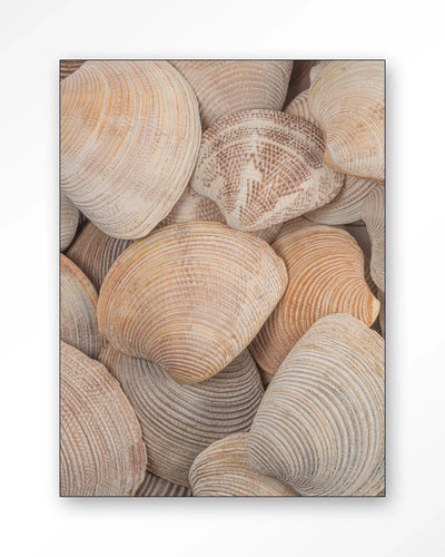 Tijdloze Rust: In Een Zee Van Schelpen - Moderne Wanddecoratie | Artprint, Glass Art, Wandkleed by Urban Cotton