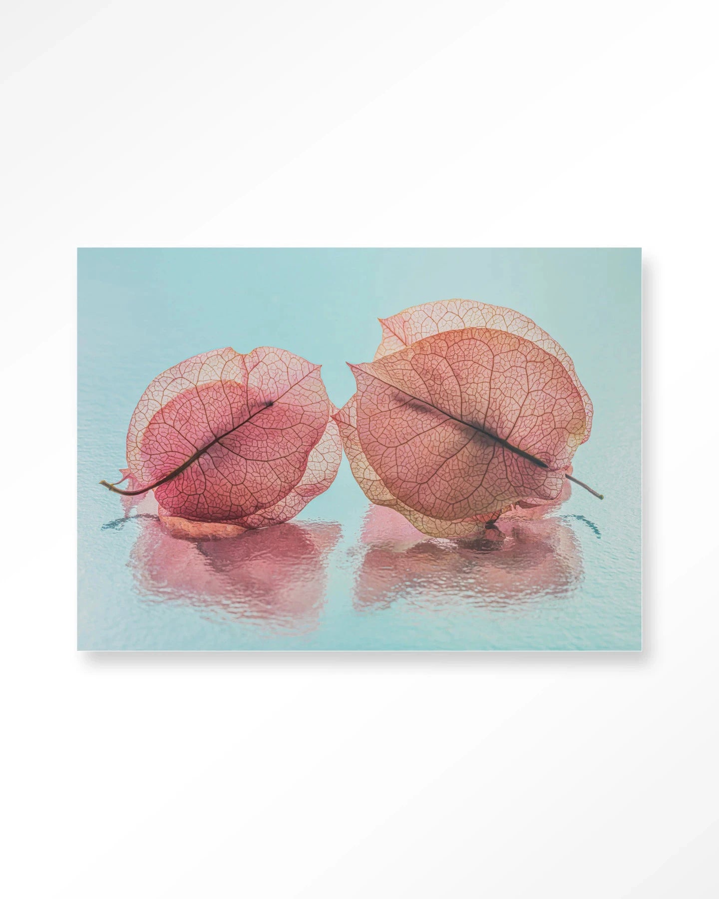 Fragiel Maar Samen - Moderne Wanddecoratie | Artprint, Glass Art, Wandkleed by Urban Cotton