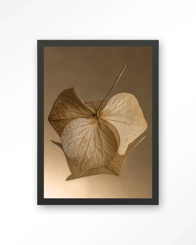 Leaf Me: Sheltered - Moderne Wanddecoratie | Artprint, Glass Art, Wandkleed by Urban Cotton