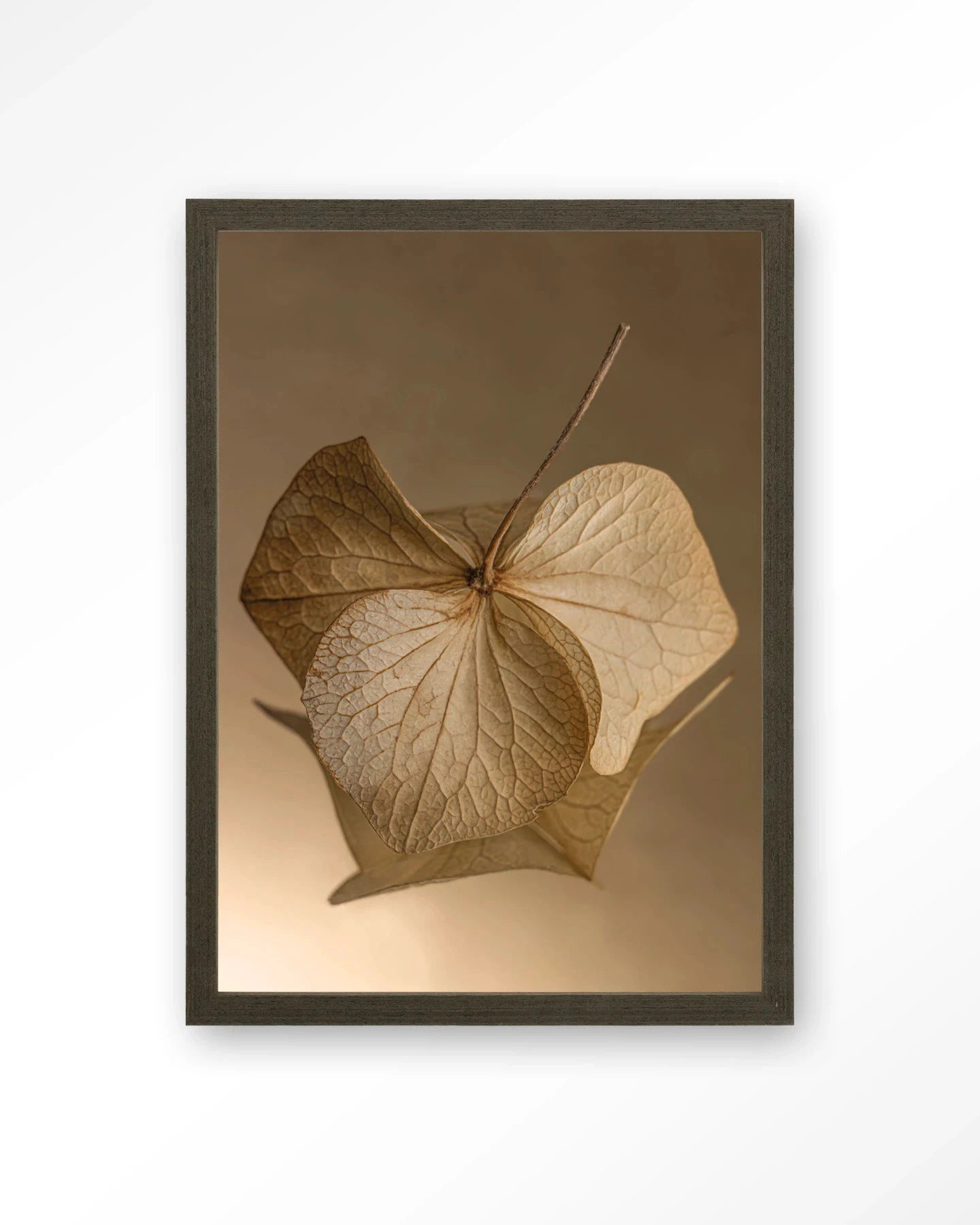 Leaf Me: Sheltered - Moderne Wanddecoratie | Artprint, Glass Art, Wandkleed by Urban Cotton