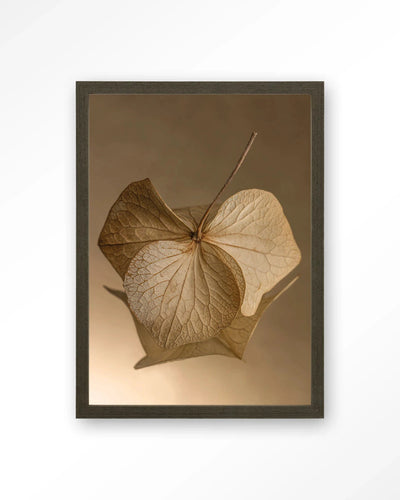 Leaf Me: Sheltered - Moderne Wanddecoratie | Artprint, Glass Art, Wandkleed by Urban Cotton