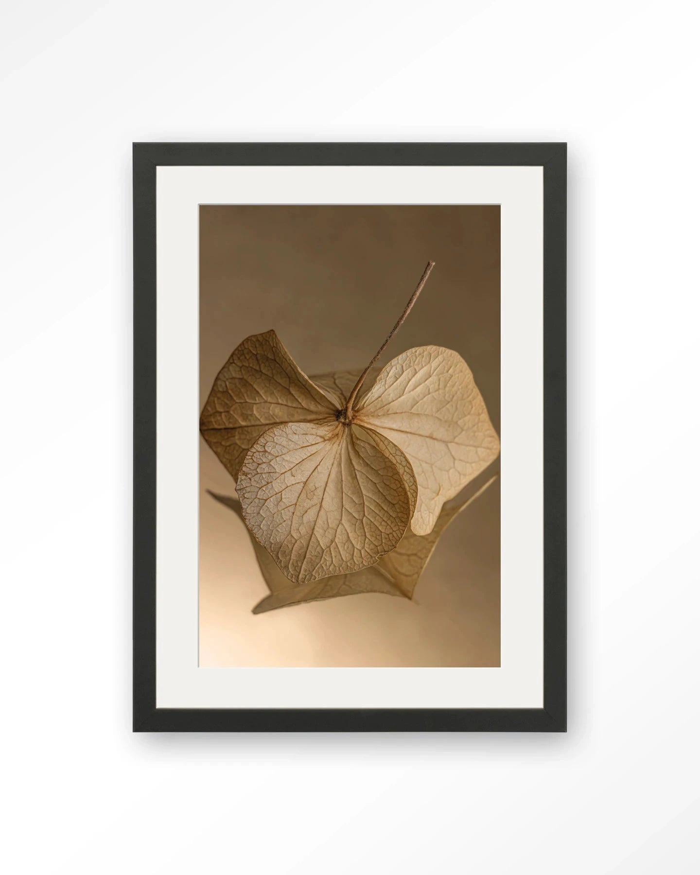 Leaf Me: Sheltered - Moderne Wanddecoratie | Artprint, Glass Art, Wandkleed by Urban Cotton