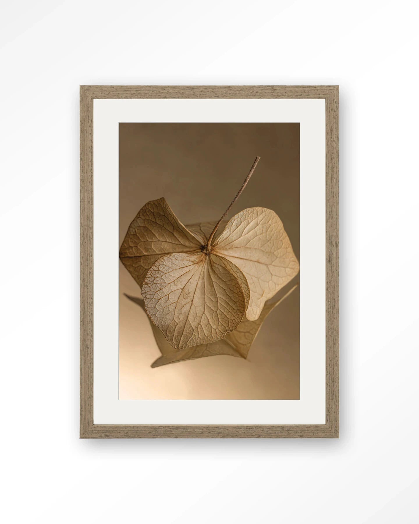 Leaf Me: Sheltered - Moderne Wanddecoratie | Artprint, Glass Art, Wandkleed by Urban Cotton