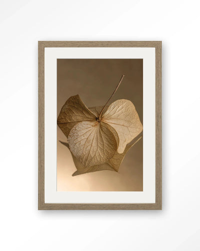 Leaf Me: Sheltered - Moderne Wanddecoratie | Artprint, Glass Art, Wandkleed by Urban Cotton