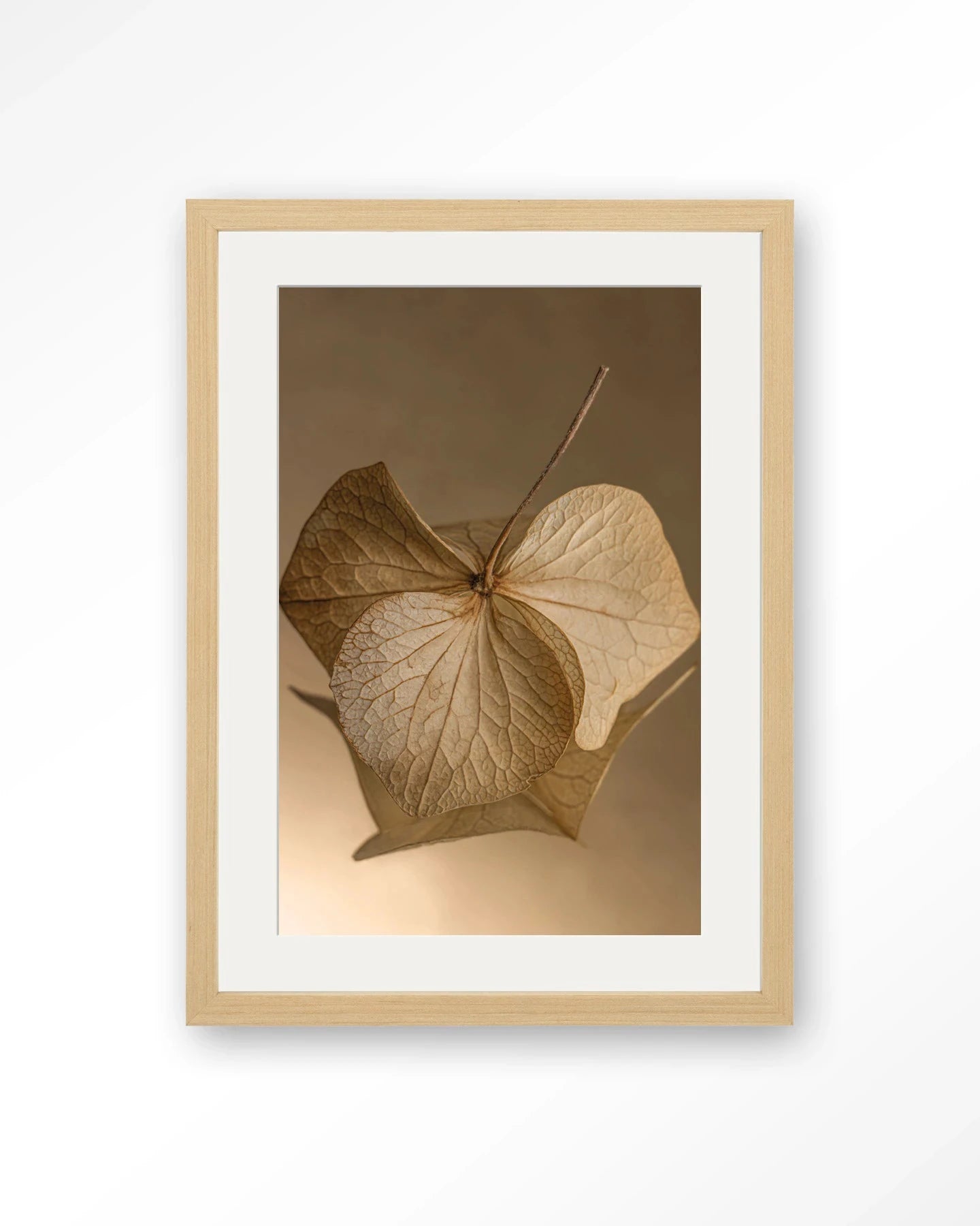 Leaf Me: Sheltered - Moderne Wanddecoratie | Artprint, Glass Art, Wandkleed by Urban Cotton