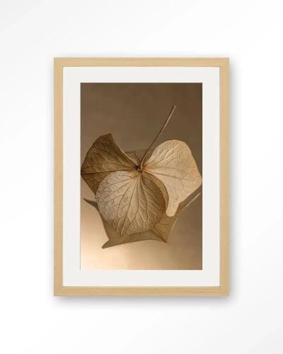 Leaf Me: Sheltered - Moderne Wanddecoratie | Artprint, Glass Art, Wandkleed by Urban Cotton