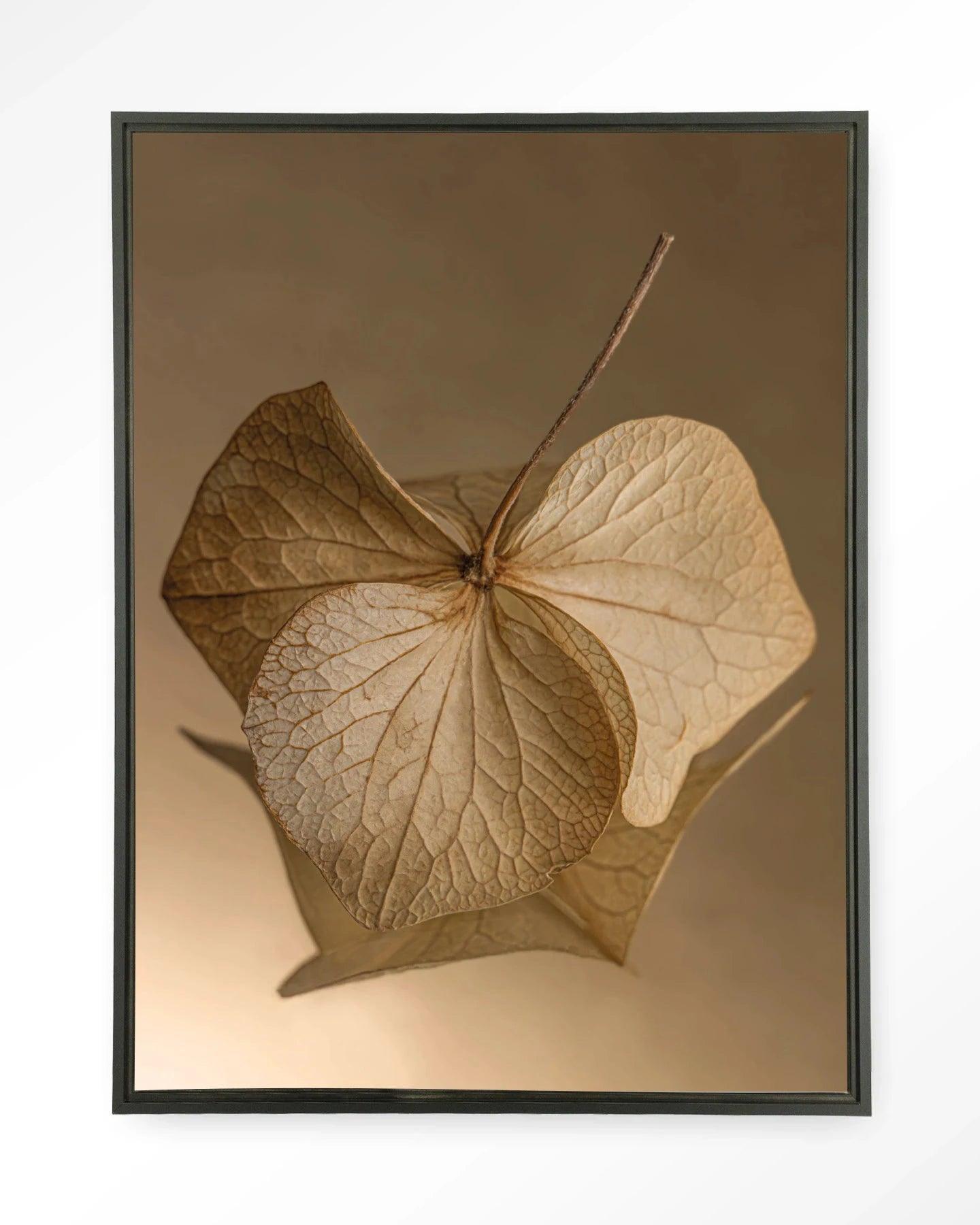 Leaf Me: Sheltered - Moderne Wanddecoratie | Artprint, Glass Art, Wandkleed by Urban Cotton