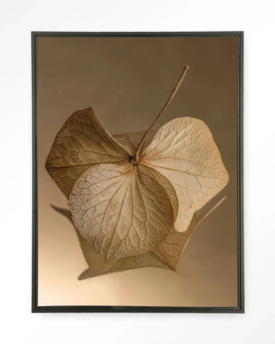 Leaf Me: Sheltered - Moderne Wanddecoratie | Artprint, Glass Art, Wandkleed by Urban Cotton