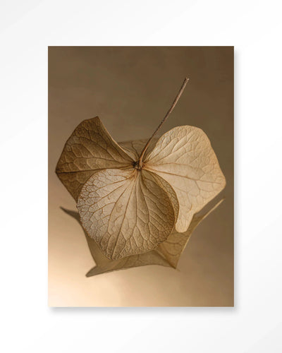 Leaf Me: Sheltered - Moderne Wanddecoratie | Artprint, Glass Art, Wandkleed by Urban Cotton