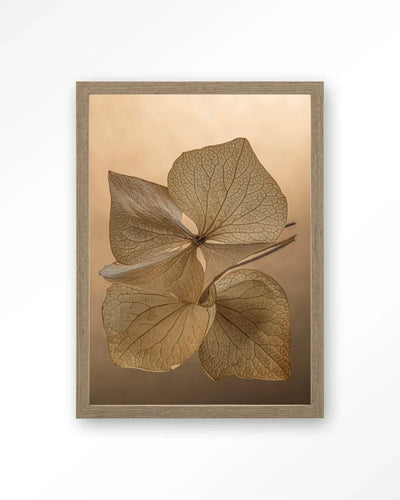 Leaf Me: Unfolded - Moderne Wanddecoratie | Artprint, Glass Art, Wandkleed by Urban Cotton
