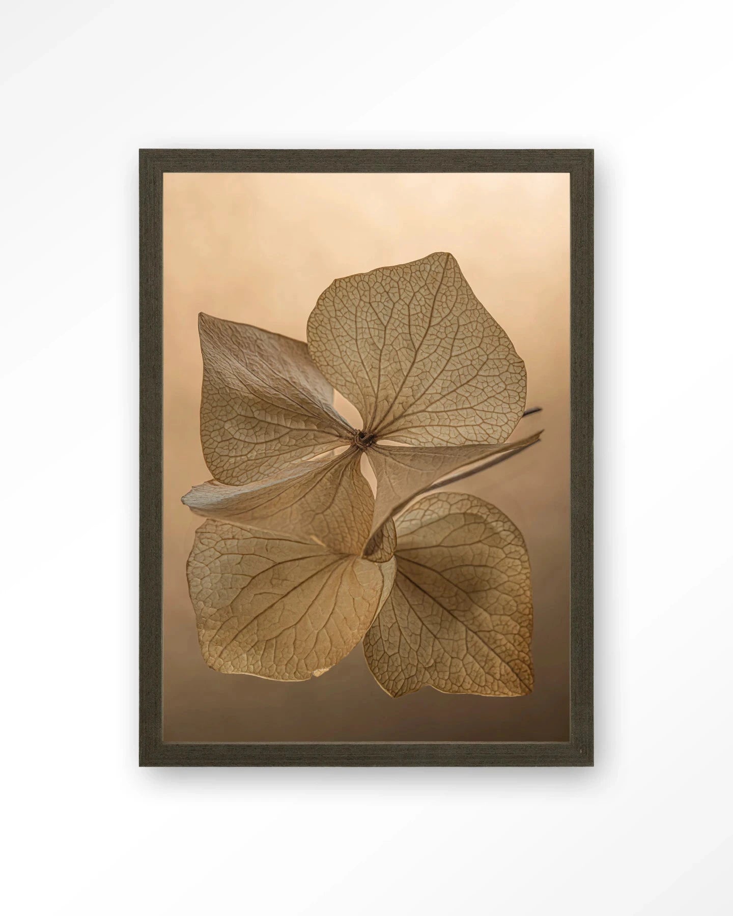 Leaf Me: Unfolded - Moderne Wanddecoratie | Artprint, Glass Art, Wandkleed by Urban Cotton