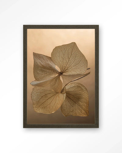 Leaf Me: Unfolded - Moderne Wanddecoratie | Artprint, Glass Art, Wandkleed by Urban Cotton