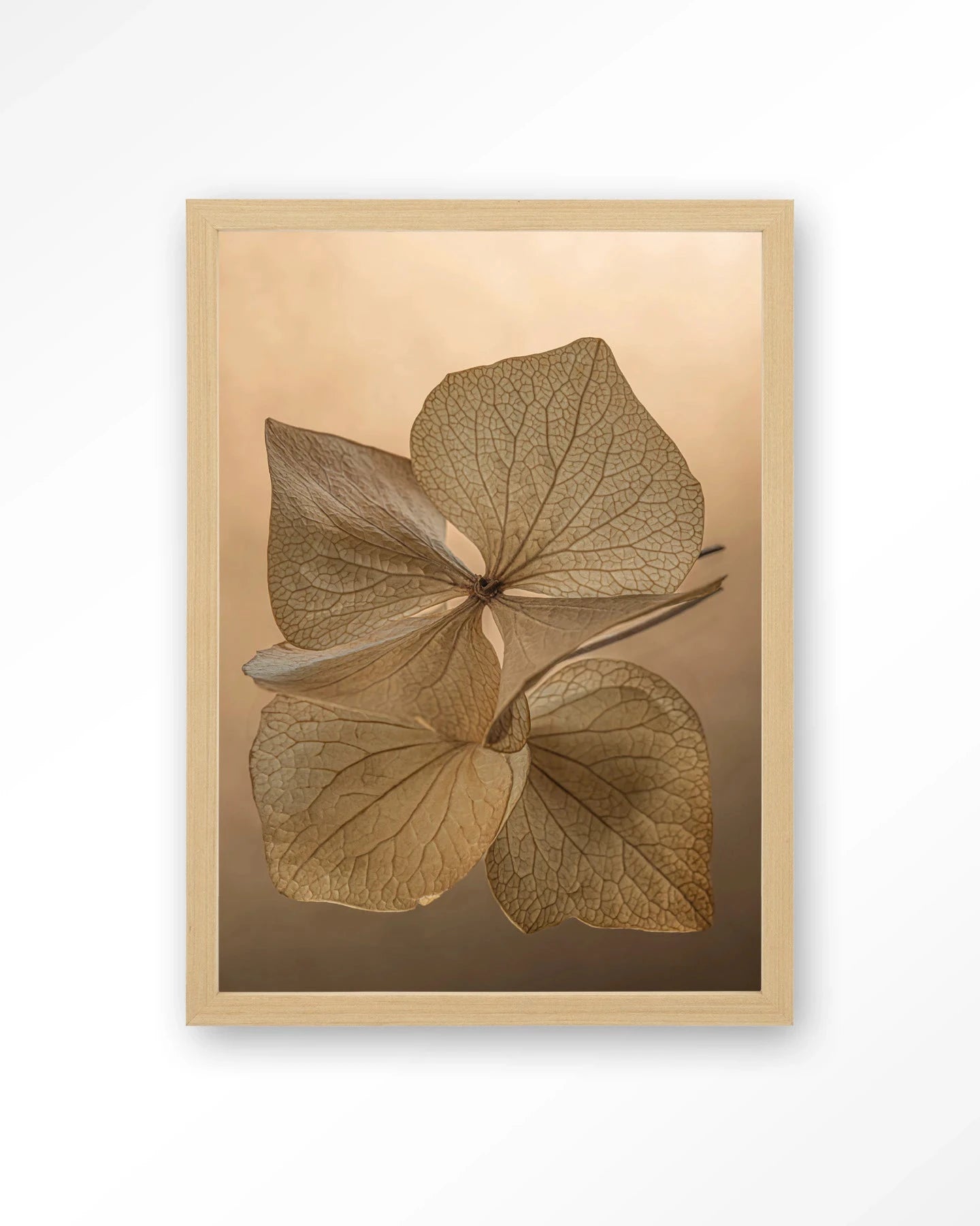 Leaf Me: Unfolded - Moderne Wanddecoratie | Artprint, Glass Art, Wandkleed by Urban Cotton