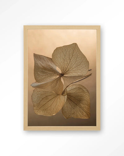 Leaf Me: Unfolded - Moderne Wanddecoratie | Artprint, Glass Art, Wandkleed by Urban Cotton