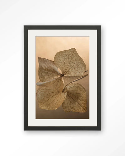 Leaf Me: Unfolded - Moderne Wanddecoratie | Artprint, Glass Art, Wandkleed by Urban Cotton