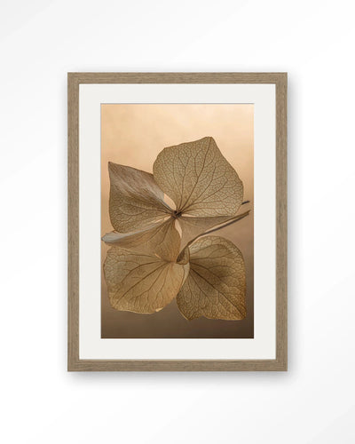 Leaf Me: Unfolded - Moderne Wanddecoratie | Artprint, Glass Art, Wandkleed by Urban Cotton