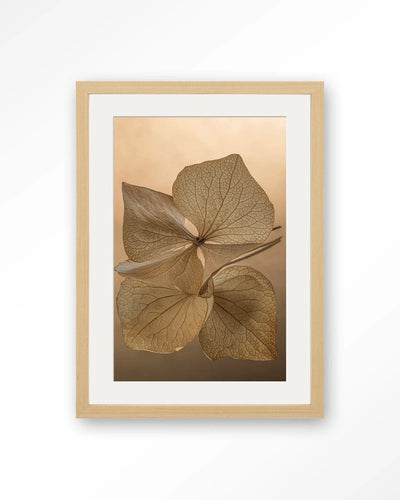 Leaf Me: Unfolded - Moderne Wanddecoratie | Artprint, Glass Art, Wandkleed by Urban Cotton