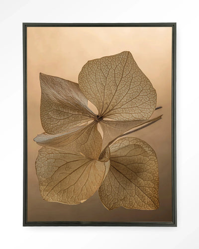 Leaf Me: Unfolded - Moderne Wanddecoratie | Artprint, Glass Art, Wandkleed by Urban Cotton