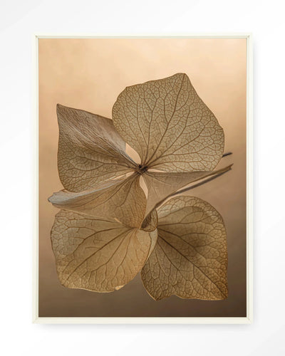 Leaf Me: Unfolded - Moderne Wanddecoratie | Artprint, Glass Art, Wandkleed by Urban Cotton