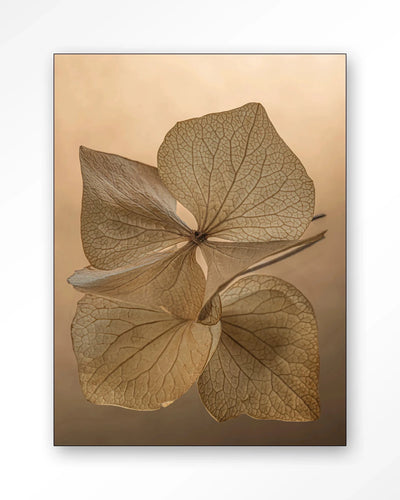 Leaf Me: Unfolded - Moderne Wanddecoratie | Artprint, Glass Art, Wandkleed by Urban Cotton