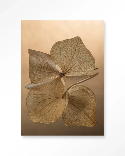 Leaf Me: Unfolded - Moderne Wanddecoratie | Artprint, Glass Art, Wandkleed by Urban Cotton