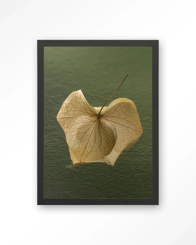 Leaf Me: In The Green - Moderne Wanddecoratie | Artprint, Glass Art, Wandkleed by Urban Cotton