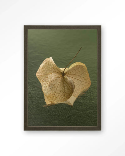 Leaf Me: In The Green - Moderne Wanddecoratie | Artprint, Glass Art, Wandkleed by Urban Cotton