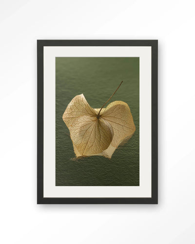 Leaf Me: In The Green - Moderne Wanddecoratie | Artprint, Glass Art, Wandkleed by Urban Cotton