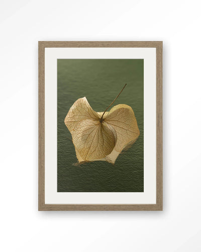 Leaf Me: In The Green - Moderne Wanddecoratie | Artprint, Glass Art, Wandkleed by Urban Cotton