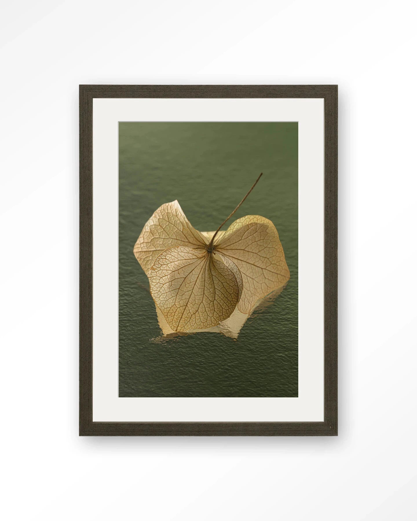 Leaf Me: In The Green - Moderne Wanddecoratie | Artprint, Glass Art, Wandkleed by Urban Cotton