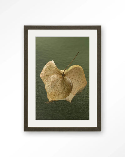Leaf Me: In The Green - Moderne Wanddecoratie | Artprint, Glass Art, Wandkleed by Urban Cotton